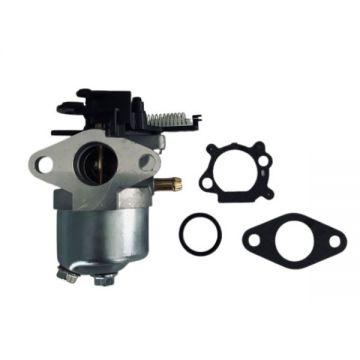 Carburator Briggs&Stratton seria 700, 750 DOV