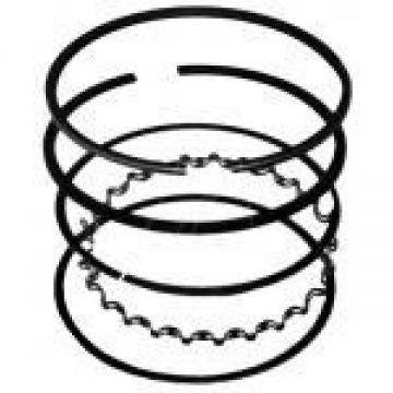 Segmenti Briggs & Straton -65 x 1.2 x 1.2 x 2mm